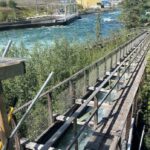 first-nation-calls-deteriorating-state-of-whitehorse-dam-fish-ladder-‘extremely-concerning’