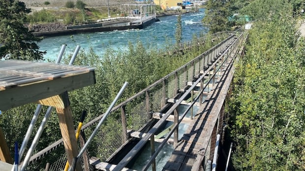 first-nation-calls-deteriorating-state-of-whitehorse-dam-fish-ladder-‘extremely-concerning’