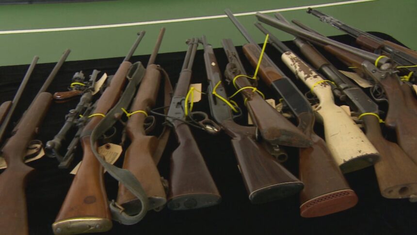 buyback-pilot-for-prohibited-firearms-getting-pushback