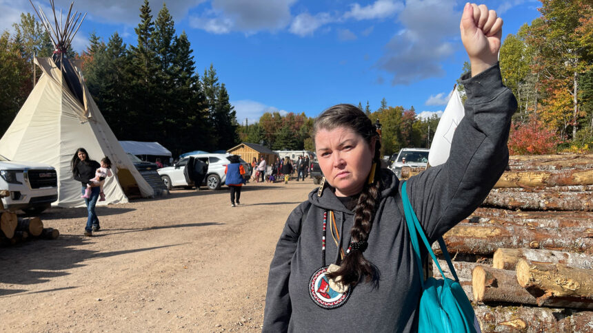 mikmaw-land-protectors-say-they-wont-leave-mountain-even-if-nova-scotia-passes-controversial-law