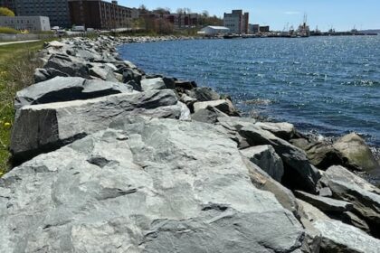 halifax-decides-to-restrict-infilling-for-dartmouth-cove