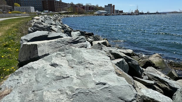 halifax-decides-to-restrict-infilling-for-dartmouth-cove