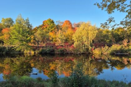fall-colours:-enjoy-these-photos-from-around-new-brunswick