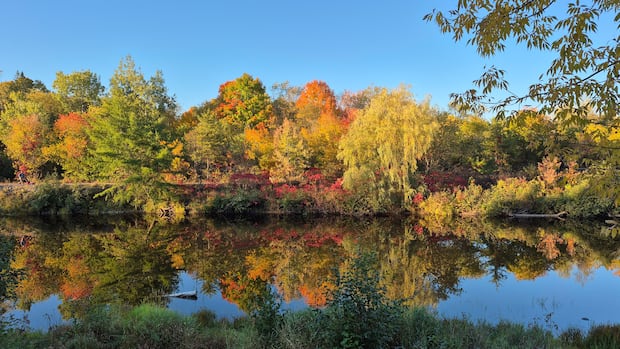 fall-colours:-enjoy-these-photos-from-around-new-brunswick