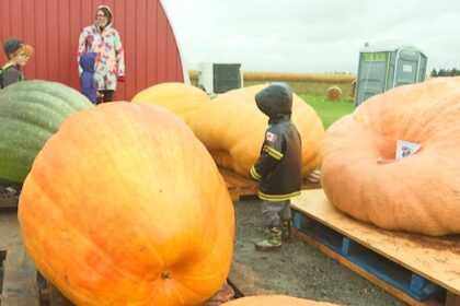 annual-pumpkin-weigh-off-in-pei.-to-include-even-more-garden-giants-this-year