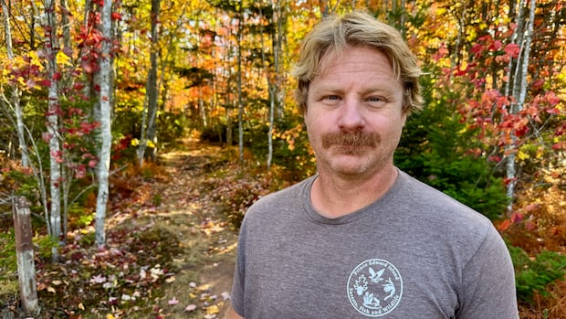 wildlife-report-finds-majority-of-pei.-species-to-be-stable,-while-others-are-on-the-brink