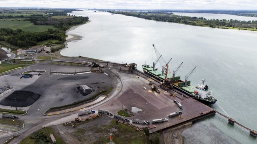 lexpansion-du-port-de-montreal-pose-de-serieux-risques-a-un-poisson-menace-qui-ne-se-trouve-quau-quebec