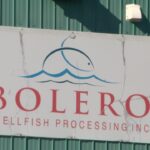 ending-foreign-worker-abuse-will-take-more-than-fines-and-hiring-bans,-advocate-says