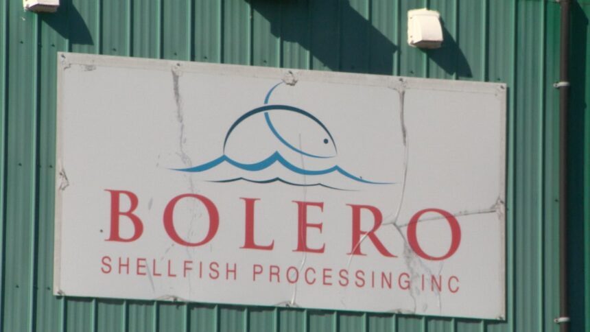 ending-foreign-worker-abuse-will-take-more-than-fines-and-hiring-bans,-advocate-says