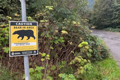woman-attacked-by-mother-bear-while-walking-dog-on-squamish-trail