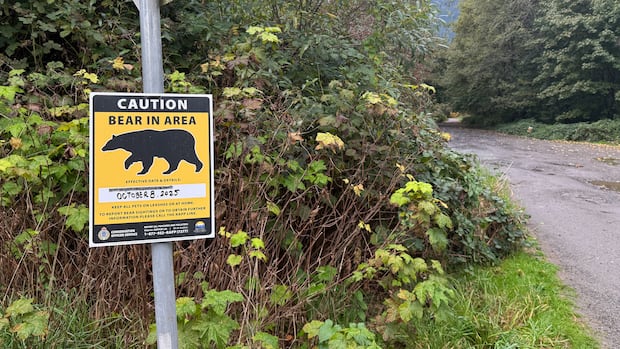 woman-attacked-by-mother-bear-while-walking-dog-on-squamish-trail