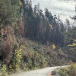 main-road-access-for-bamfield,-bc,-expected-to-reopen-oct.-24