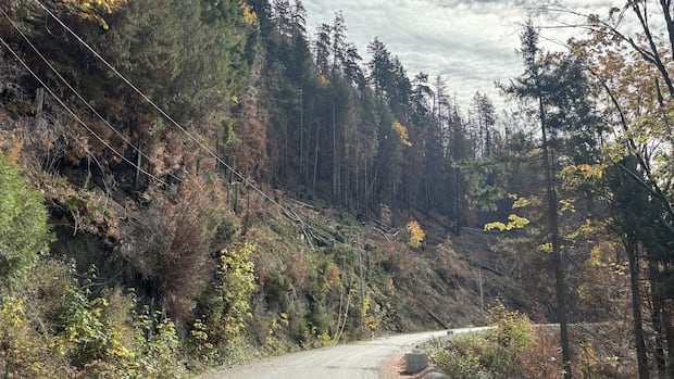 main-road-access-for-bamfield,-bc,-expected-to-reopen-oct.-24