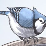 bruce-mackinnon:-bubbly-blue-jays