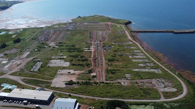 pei.-narrows-proposals-for-future-of-confederation-bridge-fabrication-yard-to-2