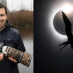 vancouver-wildlife-photographer-eclipses-global-competition-with-dramatic-shot-during-solar-event