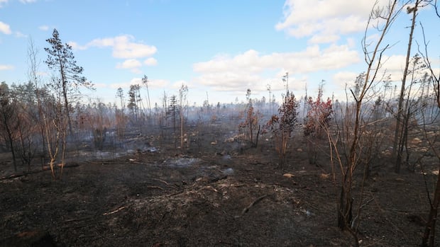 lake-george-fire-continues-burning-out-of-control