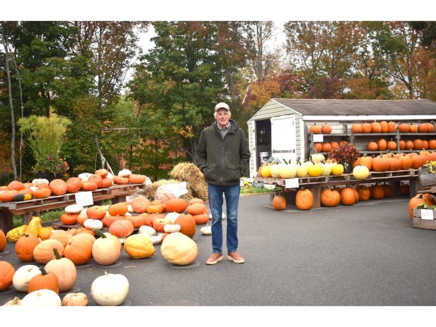 a-plymouth-pumpkin-patch-with-purpose