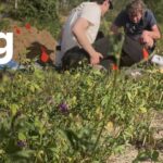 festival-focuses-on-farming-and-indigenous-food-sovereignty