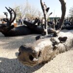 brandons-new-sculpture-garden-blends-nature-and-art