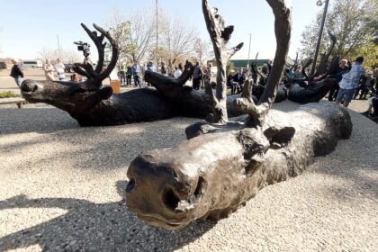 brandons-new-sculpture-garden-blends-nature-and-art