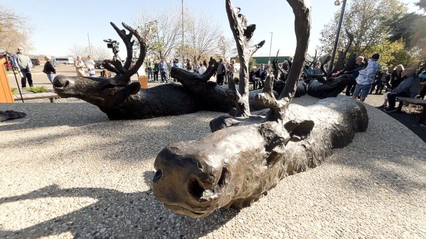 brandons-new-sculpture-garden-blends-nature-and-art