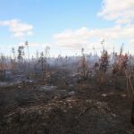 officials-ask-people-to-‘stay-the-heck-out’-of-evacuation-zones-near-lake-george-wildfire