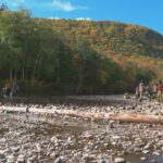 efforts-underway-to-restore-a-salmon-habitat-in-cape-breton