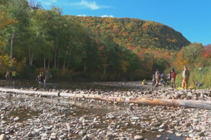 efforts-underway-to-restore-a-salmon-habitat-in-cape-breton