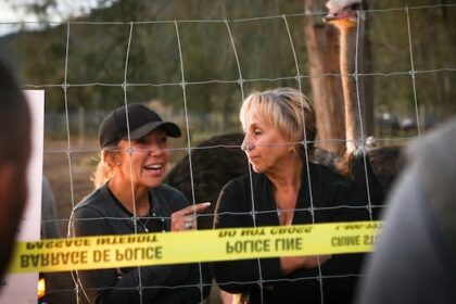 syilx-okanagan-nation-chiefs-deny-issuing-cease-and-desist-letter-in-ostrich-cull-controversy