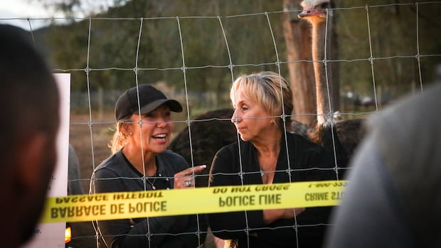 syilx-okanagan-nation-chiefs-deny-issuing-cease-and-desist-letter-in-ostrich-cull-controversy