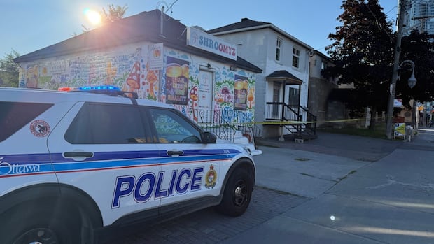police-seize-14-kilos-of-magic-mushrooms-in-raids-on-9-ottawa-dispensaries