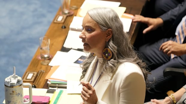ndp-cabinet-ministers-won’t-be-pushed-out-of-politics-by-‘attacks’-at-offices,-mla-nahanni-fontaine-says