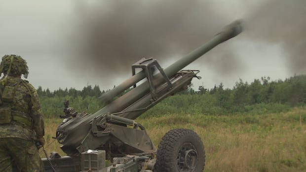 military-continues-to-battle-wildfires-at-cfb-gagetown,-no-risk-to-nearby-communities