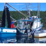casting-for-ballots:-union-hopes-next-nl-government-will-tackle-fishery-issues