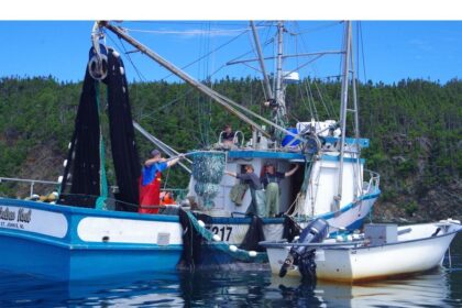 casting-for-ballots:-union-hopes-next-nl-government-will-tackle-fishery-issues
