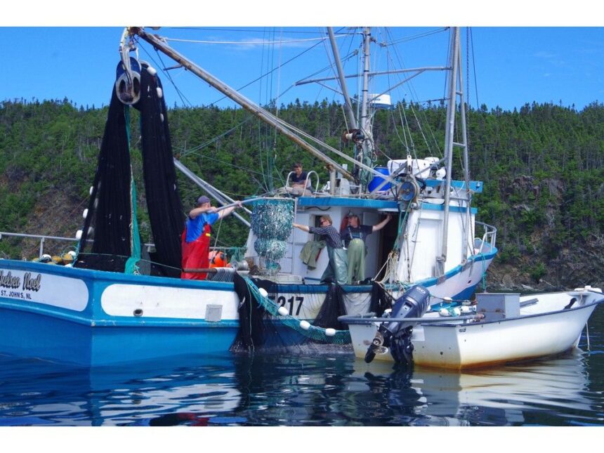 casting-for-ballots:-union-hopes-next-nl-government-will-tackle-fishery-issues