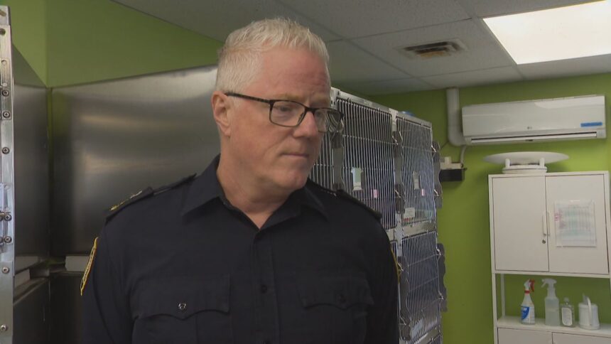 ns.-spca-sees-increase-in-seized,-surrendered-animals