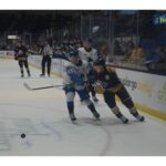 charlottetown-forward-has-scored-in-seven-of-teams-first-seven-regular-season-games
