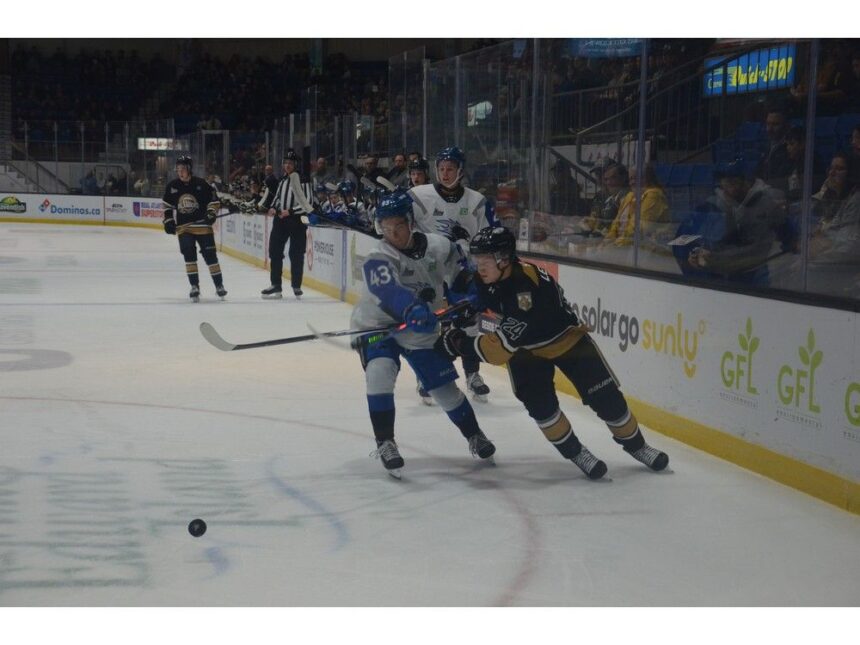 charlottetown-forward-has-scored-in-seven-of-teams-first-seven-regular-season-games