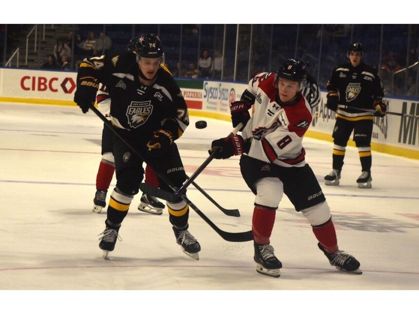 qmjhl:-cape-breton-eagles-defeated-by-rouyn-noranda-huskies-for-fifth-straight-loss-at-home