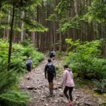 north-shores-popular-grouse-grind-trail-to-close-for-annual-maintenance