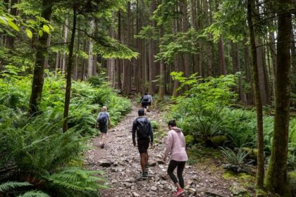 north-shores-popular-grouse-grind-trail-to-close-for-annual-maintenance