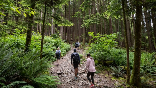 north-shores-popular-grouse-grind-trail-to-close-for-annual-maintenance