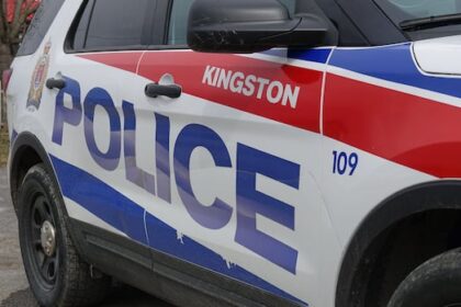 pedestrian-dies-after-being-hit-by-vehicle-in-kingston