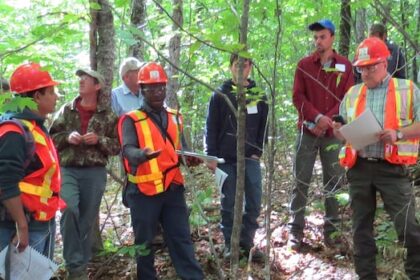 nb.-researchers-use-satellite-tech-and-ai-to-identify-critical-habitats-in-the-wild