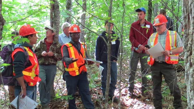 nb.-researchers-use-satellite-tech-and-ai-to-identify-critical-habitats-in-the-wild