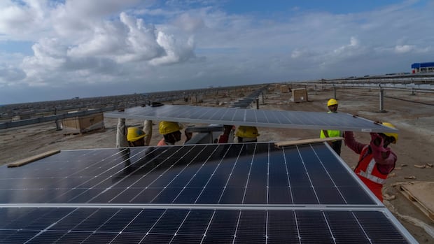renewables-become-biggest-source-of-electricity-globally-for-1st-time,-beating-coal