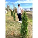 ‘may-have-to-give-away-over-a-million-trees’;-an-eskasoni-councillor’s-beautification-project