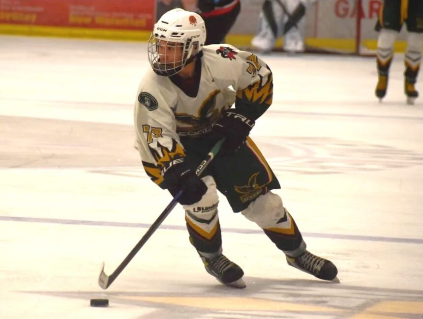 ns.-junior-hockey-league:-eskasoni-eagles-stay-on-top-after-blanking-sackville-blazers